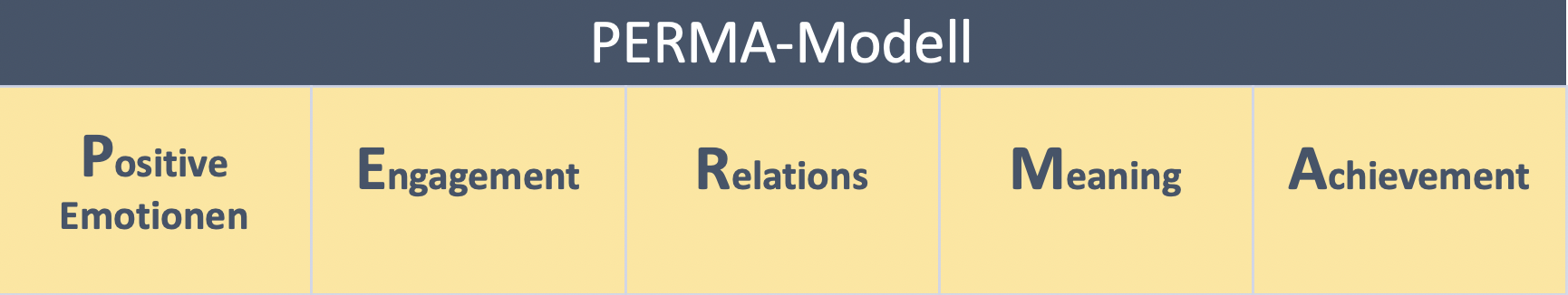 PERMA Coaching